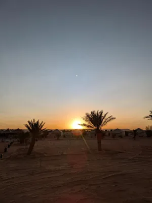 Desert wibes