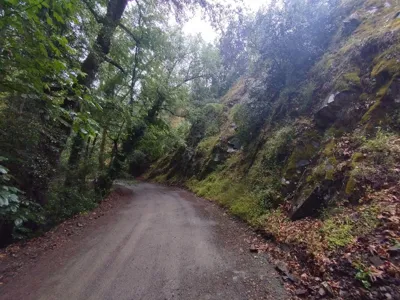 Long trip