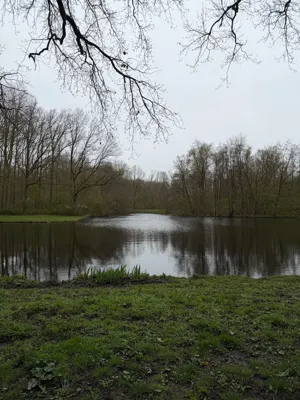 Morning Run