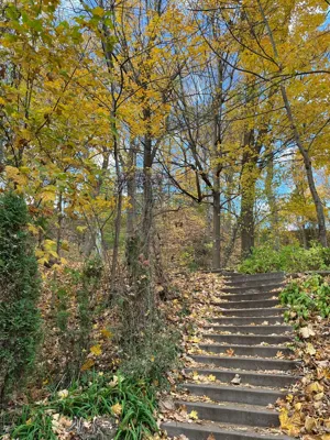 Long Hike