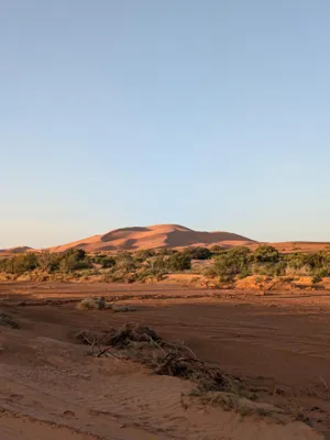 Desert wibes