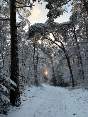 Hilversum Running