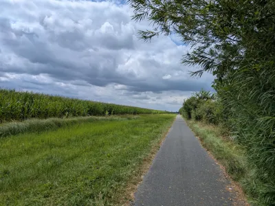 Recovery Ride