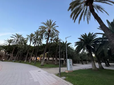 Recovery Run