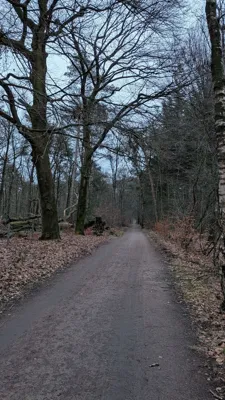 Hilversum Running