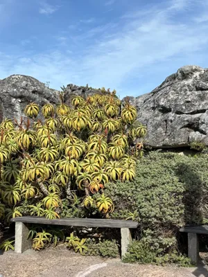 Long Hike