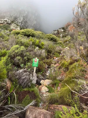 Long Hike