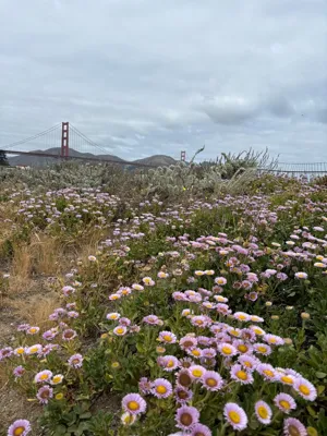 Long Run