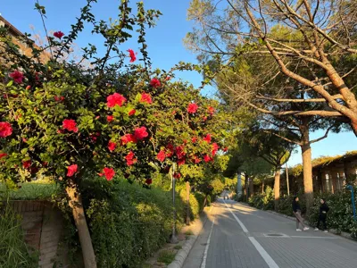Recovery Run