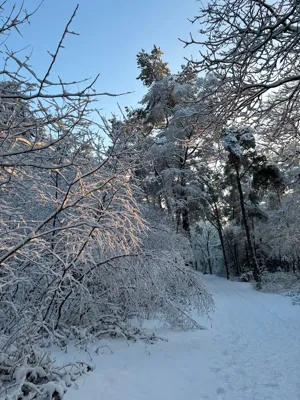 Hilversum Running