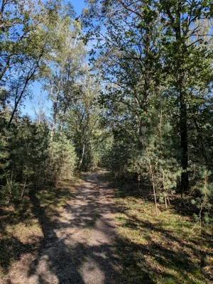Recovery run