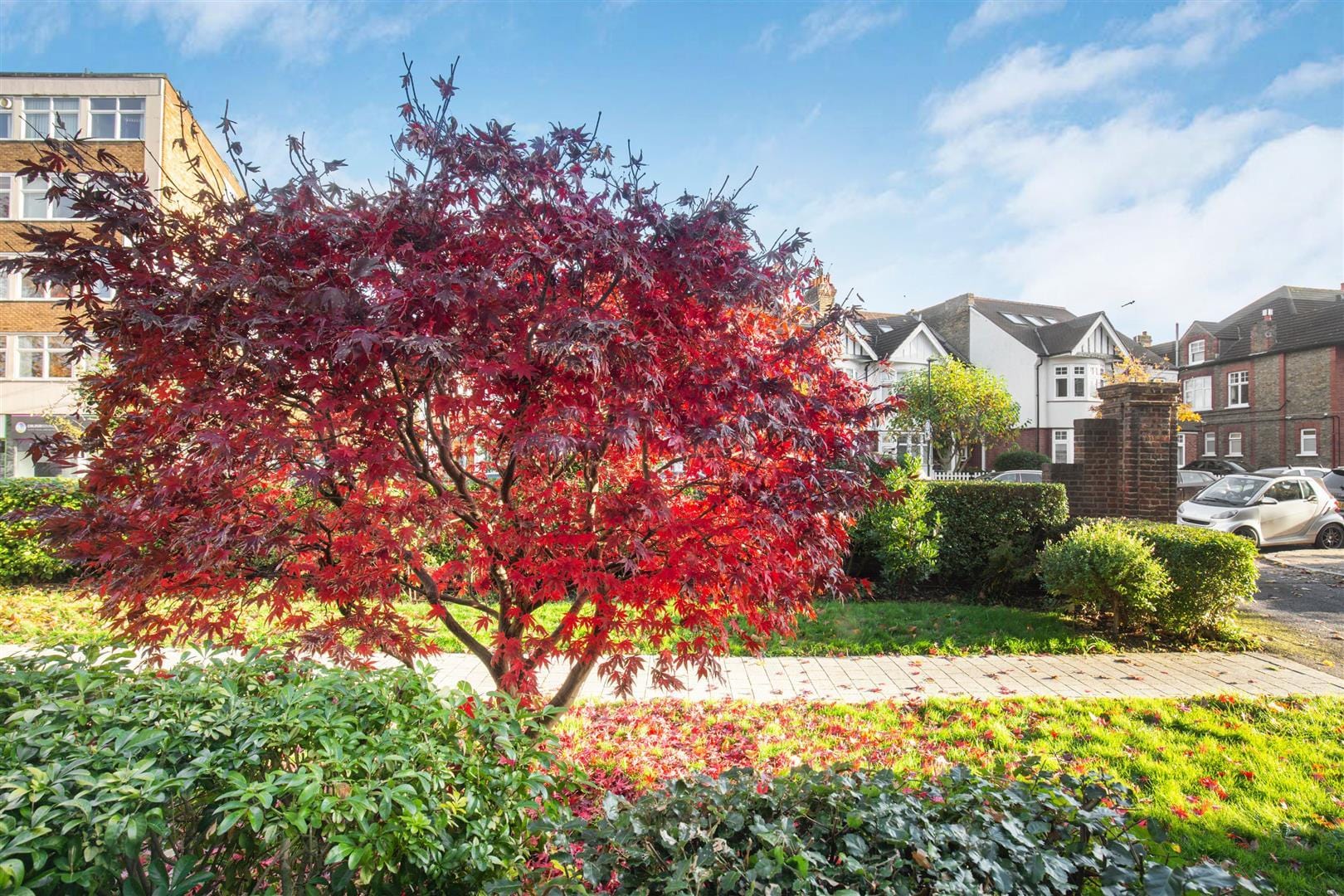 1 bedroom Flat Let