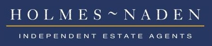 Agent Logo