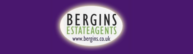 Agent Logo