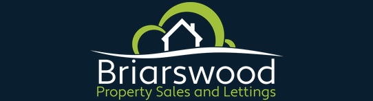 Agent Logo