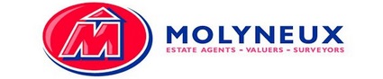 Agent Logo