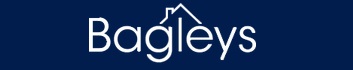 Agent Logo