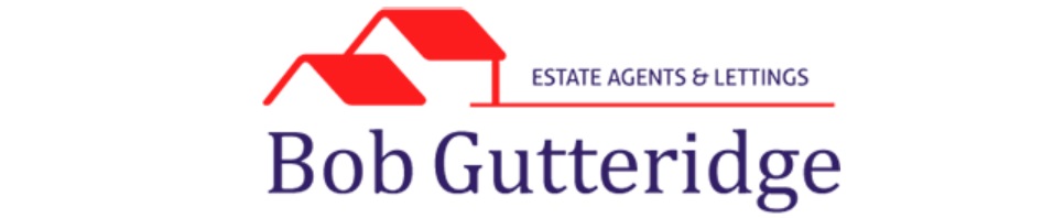Agent Logo