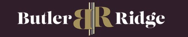 Agent Logo
