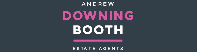 Agent Logo