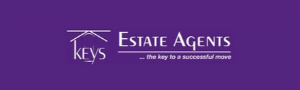Agent Logo