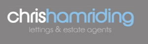 Agent Logo