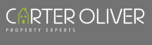 Agent Logo
