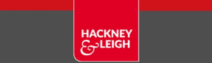 Agent Logo