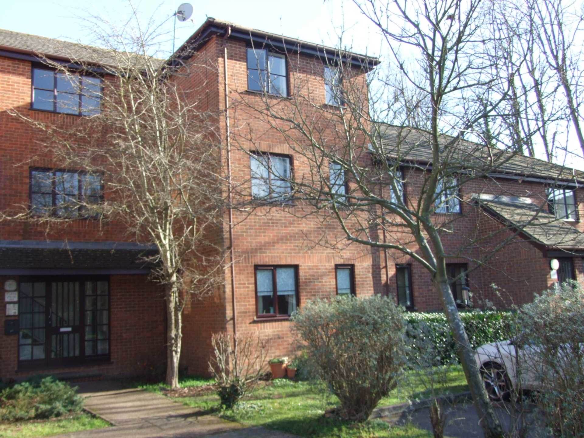 1 bedroom Apartment Let
