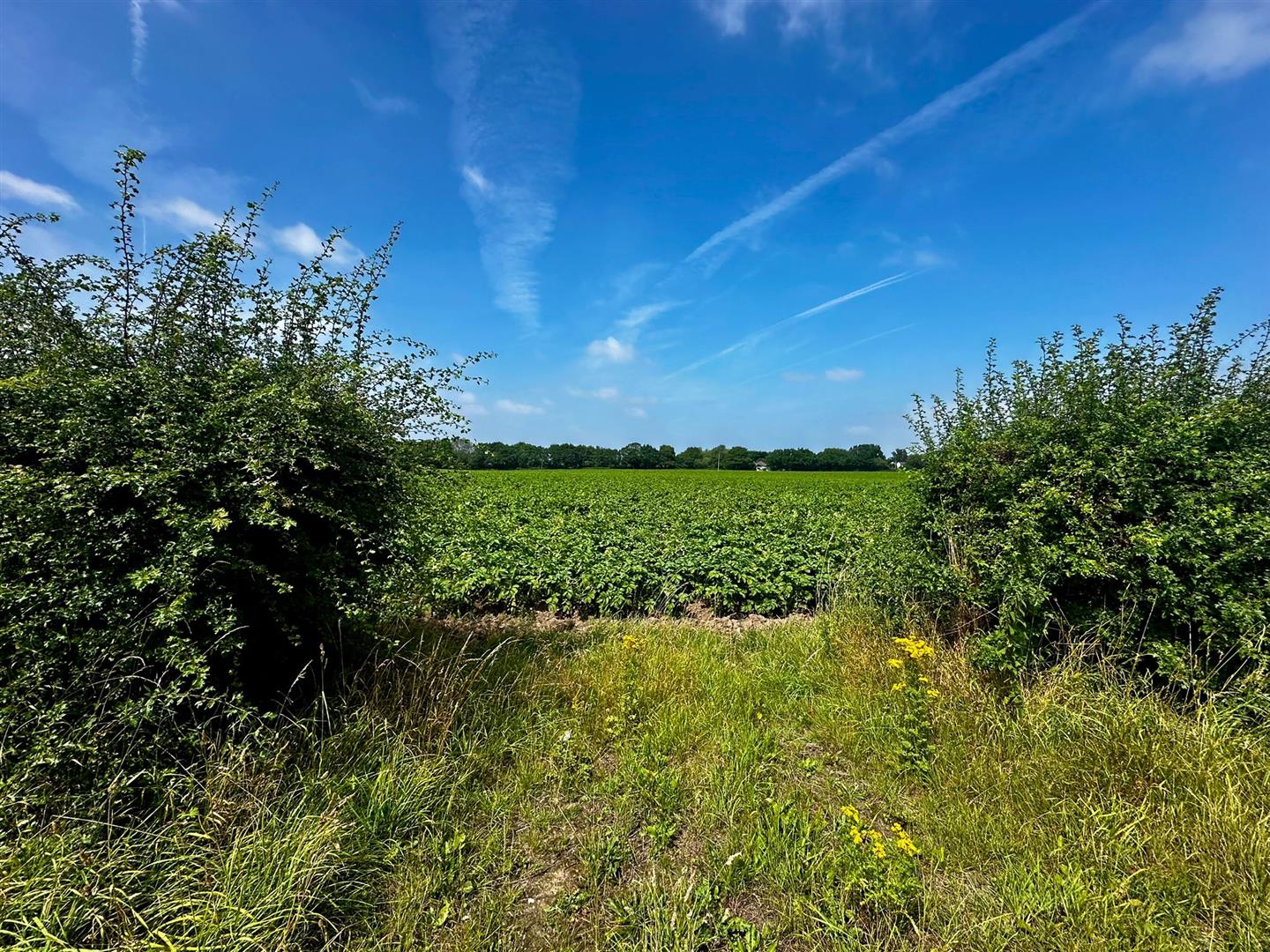 Knutsford