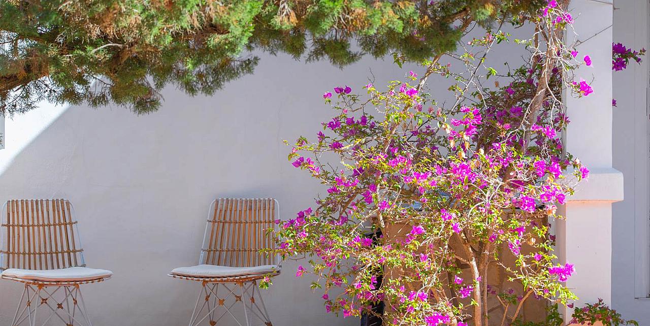 2 Bed Villa in Ibiza