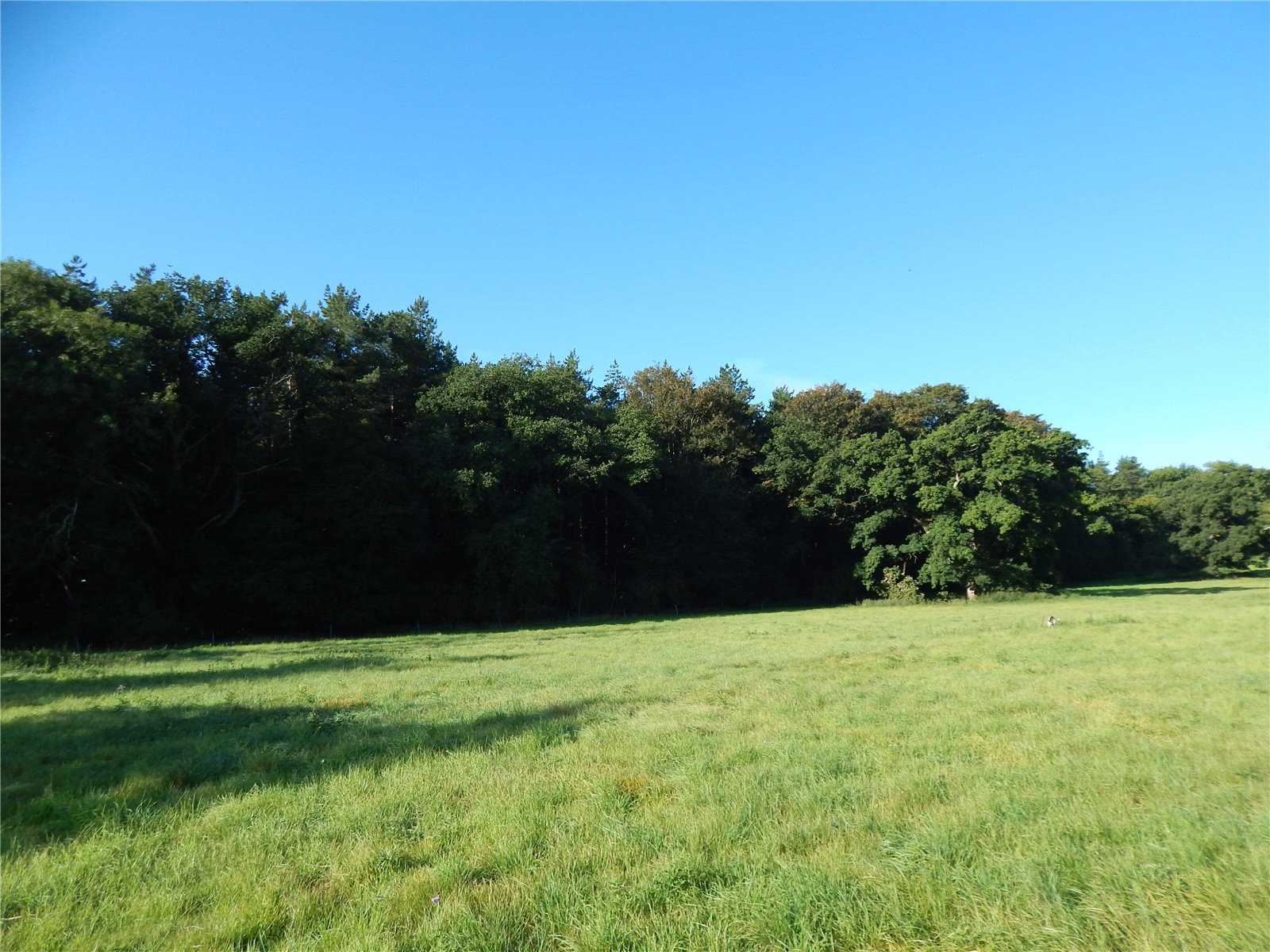 Land (Commercial) Under Offer