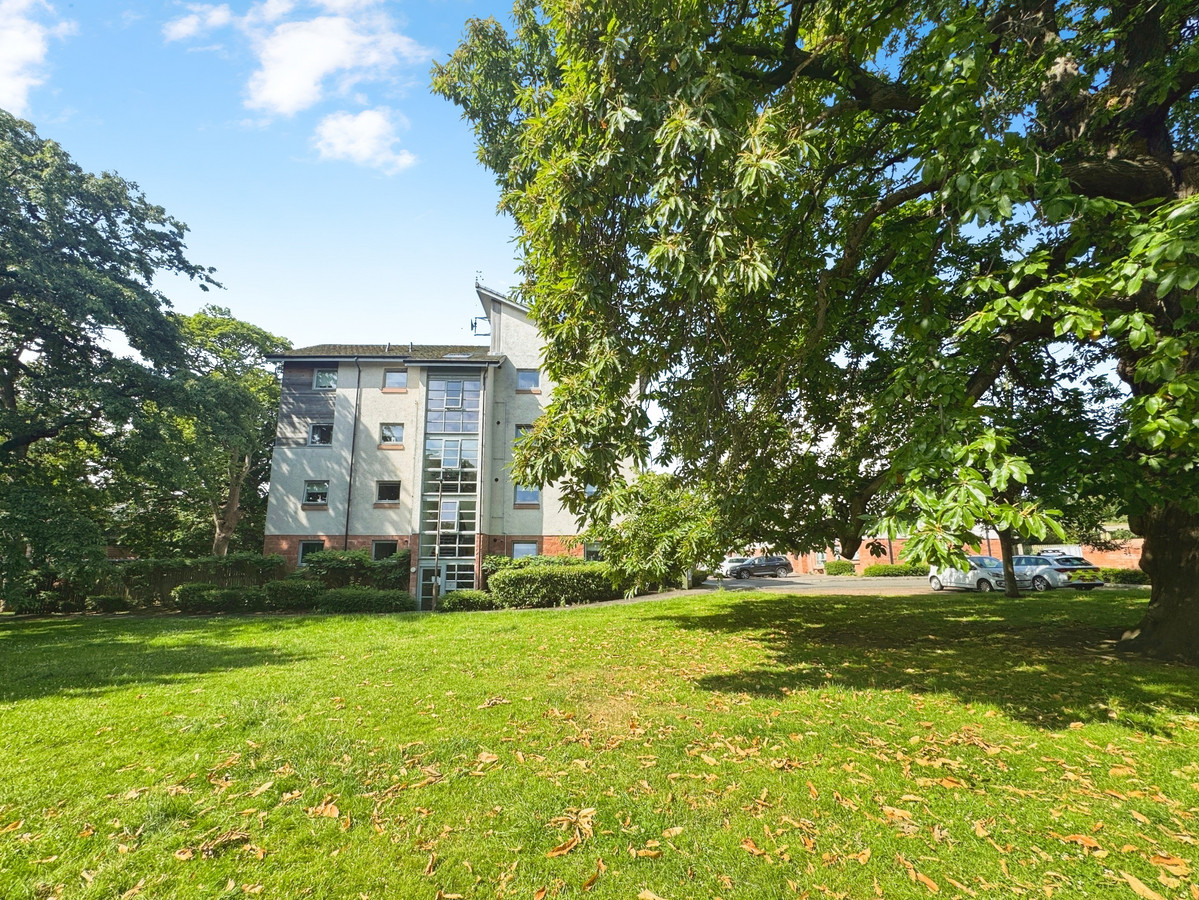 1 bedroom Apartment To Let