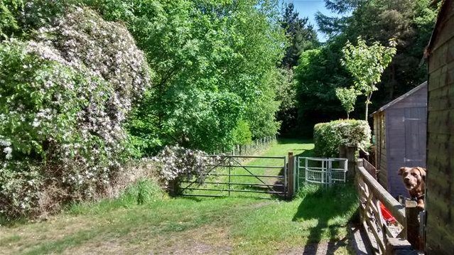  House (unspecified) Under Offer