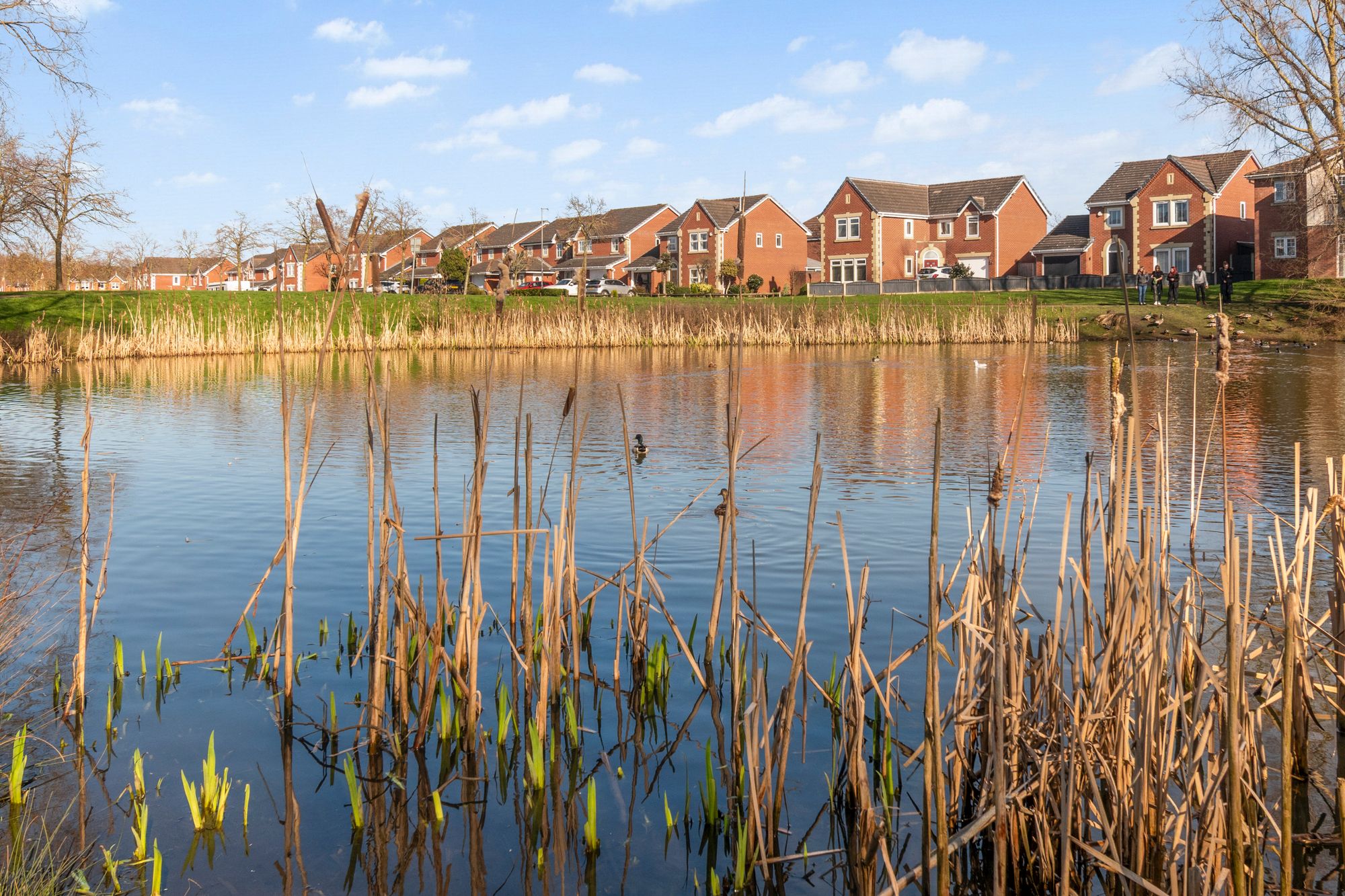 6 bedroom Detached house For Sale