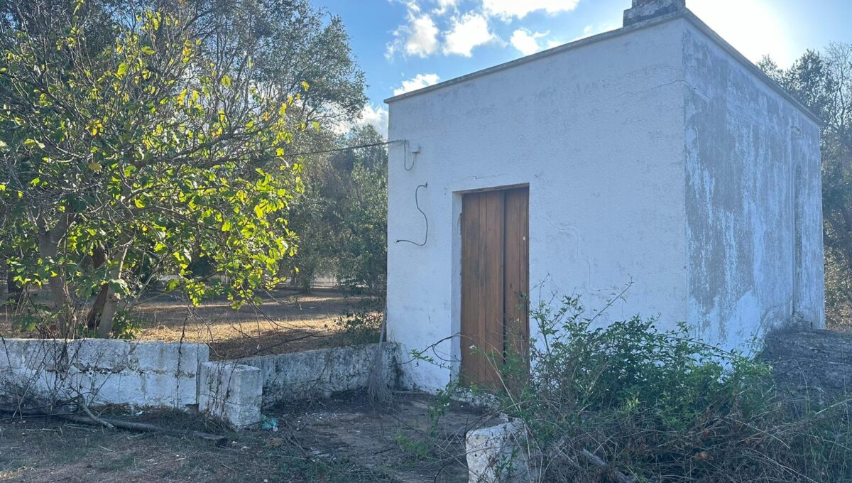 1 bedroom House (unspecified) For Sale
