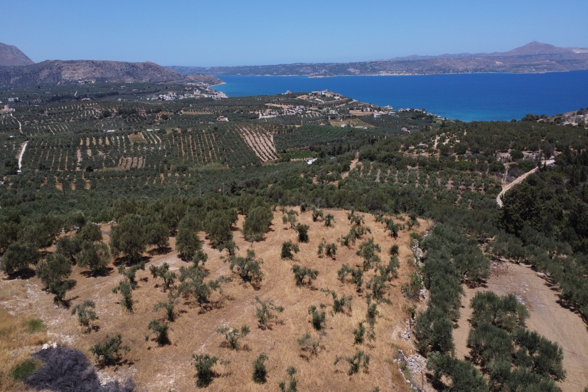  Plot For Sale
