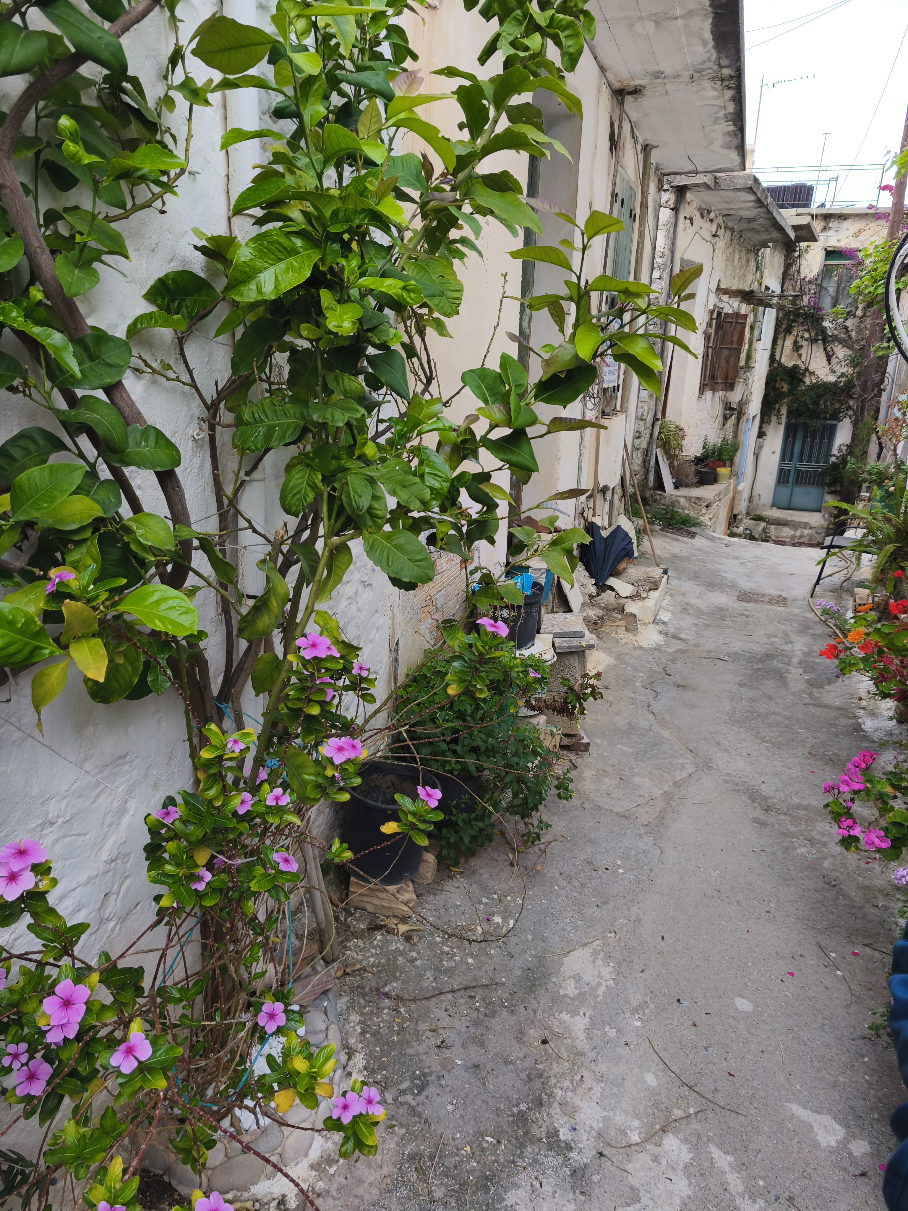1 bedroom House (unspecified) For Sale