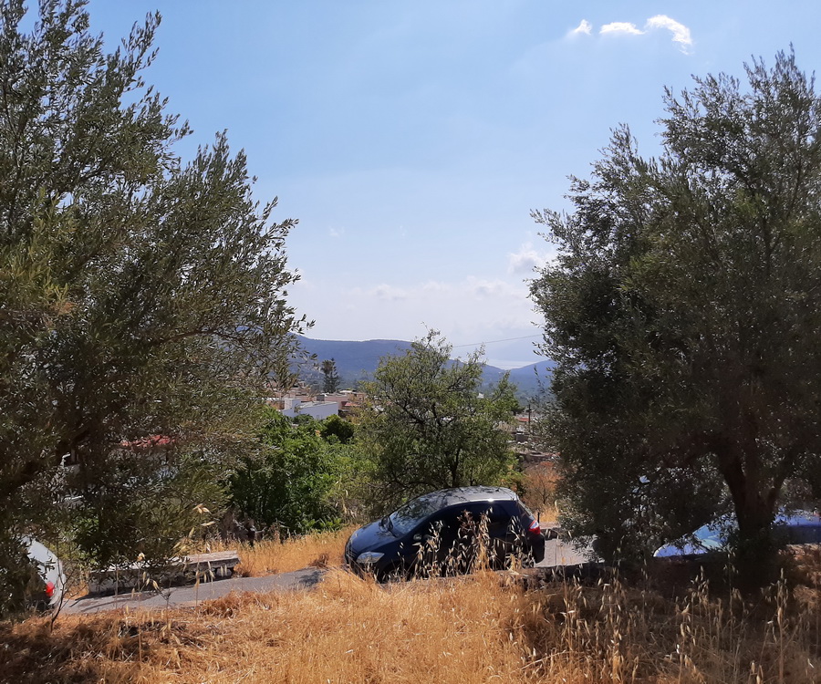  Plot For Sale