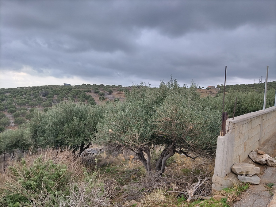  Land (Residential) For Sale