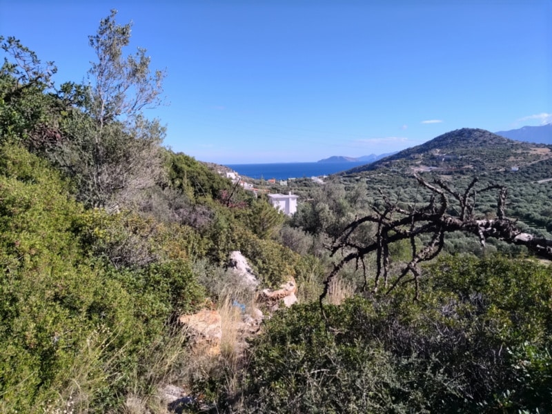  Plot For Sale