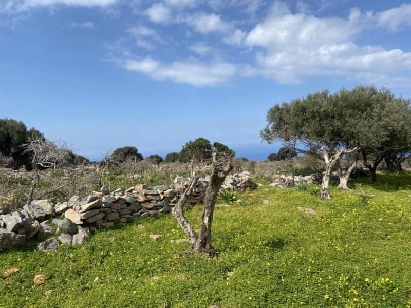  Land (Residential) For Sale