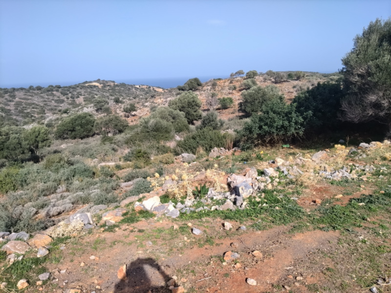  Plot For Sale