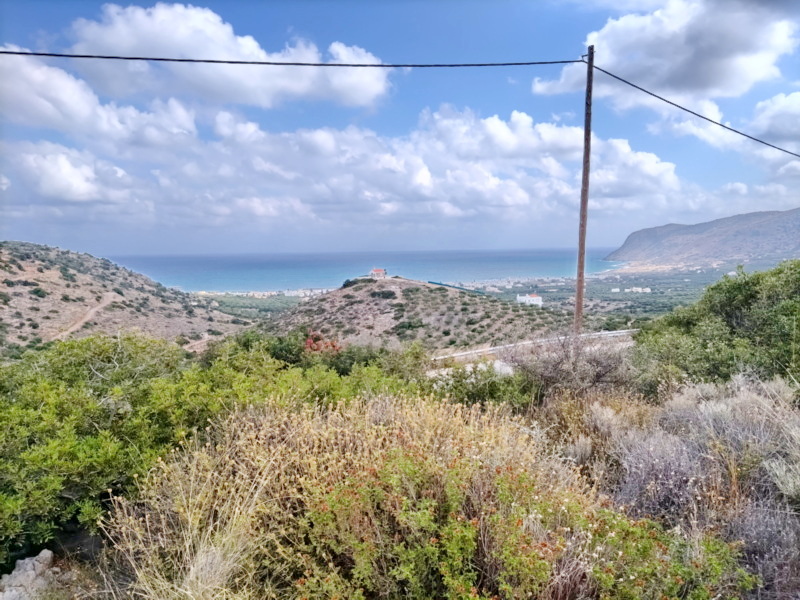  Plot For Sale