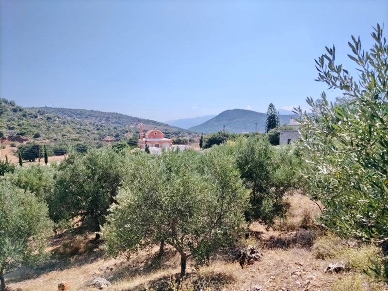  Plot For Sale
