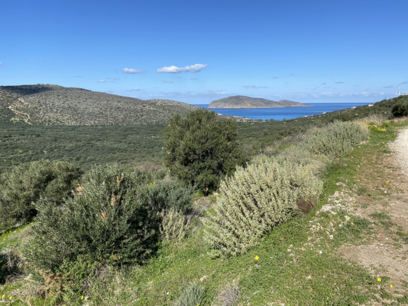  Plot For Sale