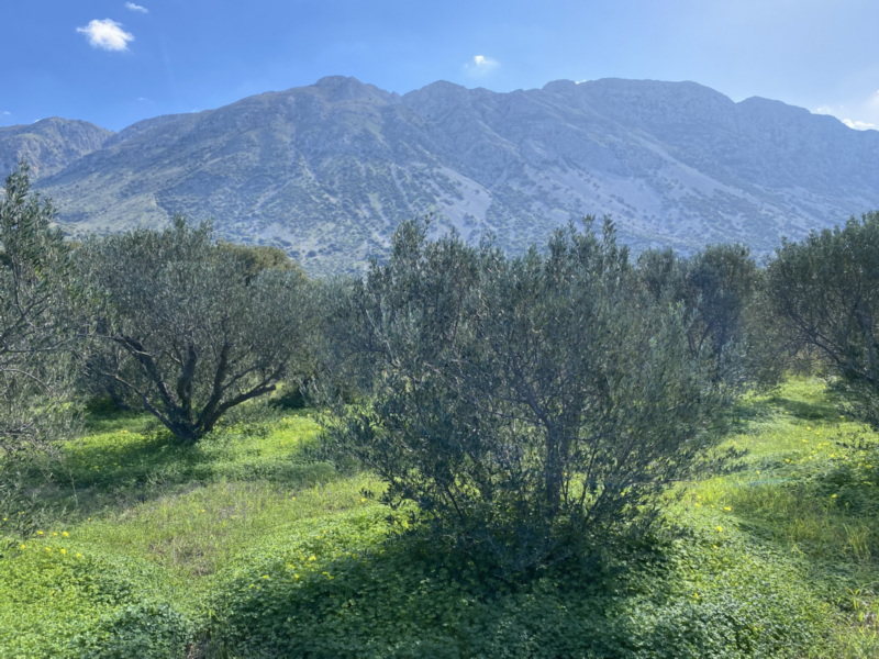 Plot For Sale
