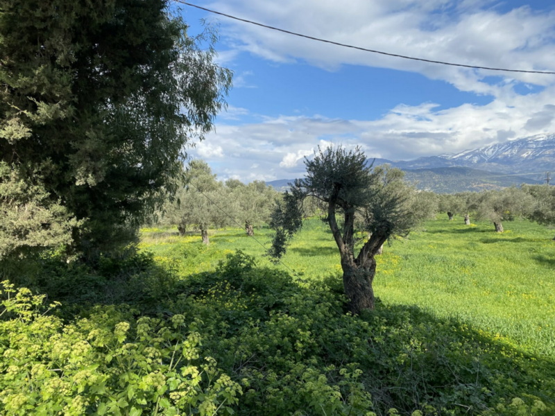  Plot For Sale