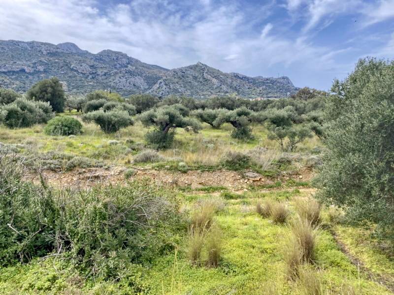 Plot For Sale