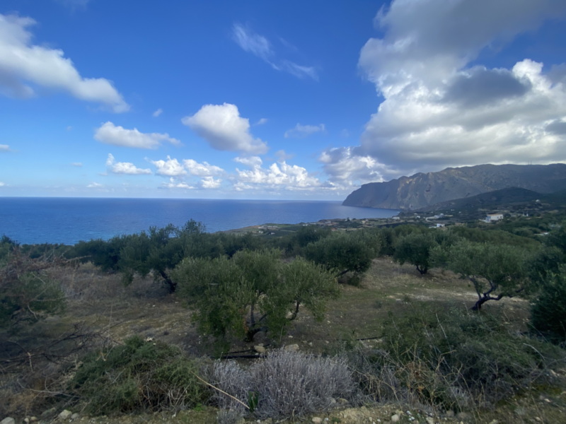  Plot For Sale
